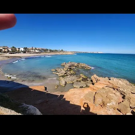 Zenia * Orihuela
