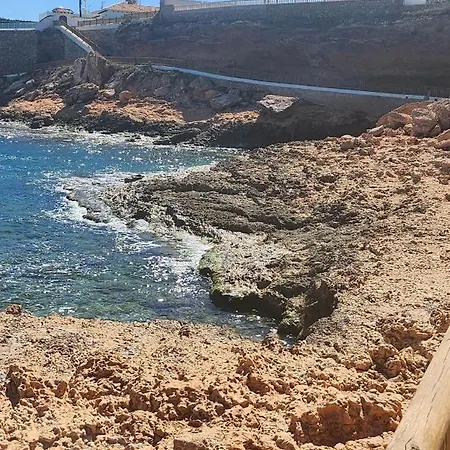 Zenia